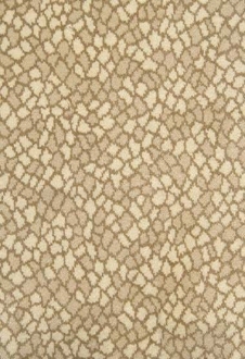 Animal Print Rugs