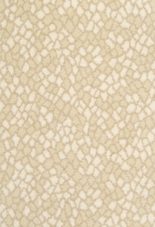 Animal Print Rugs