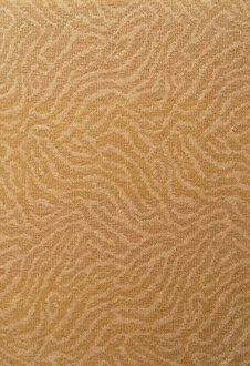 Animal Print Rugs